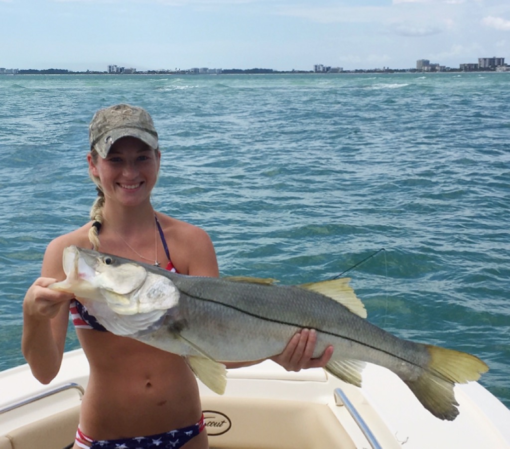 Summer snook fishing in Sarasota! – Siesta Key Fishing Charters
