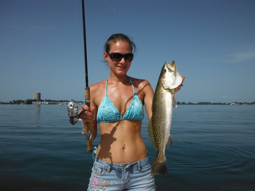 Sarasota trout