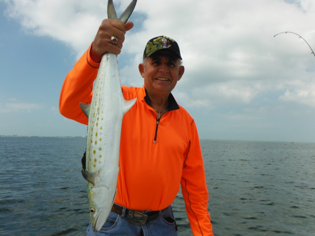 Siesta Key Spanish mackerel