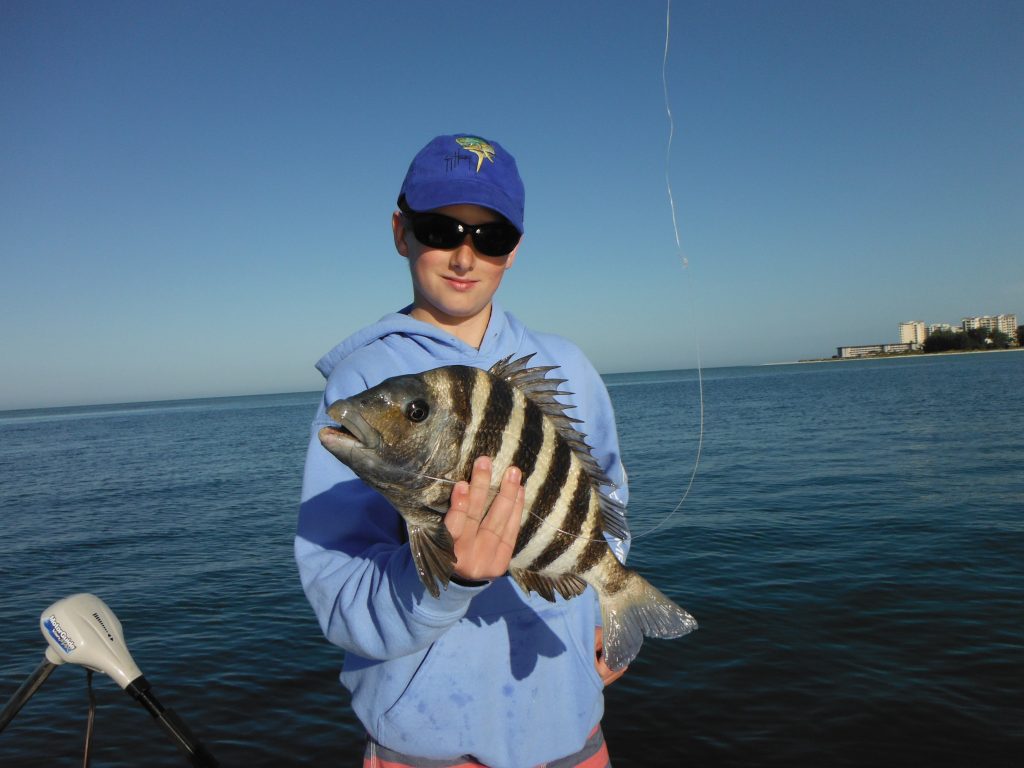 sheepshead fishing tips