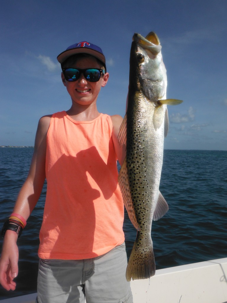 Sarasota trout fishing