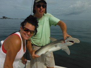 Sarasota shark fishing
