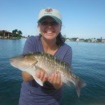 Mangrove Snapper Fishing in Florida