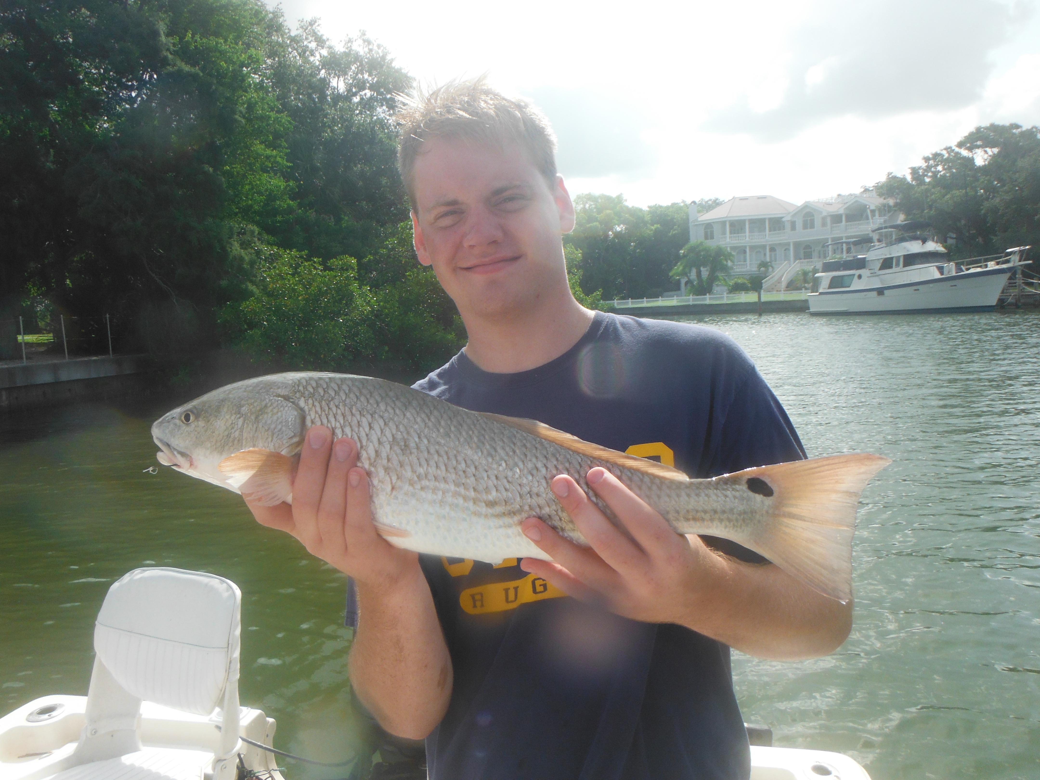 Sarasota redfish