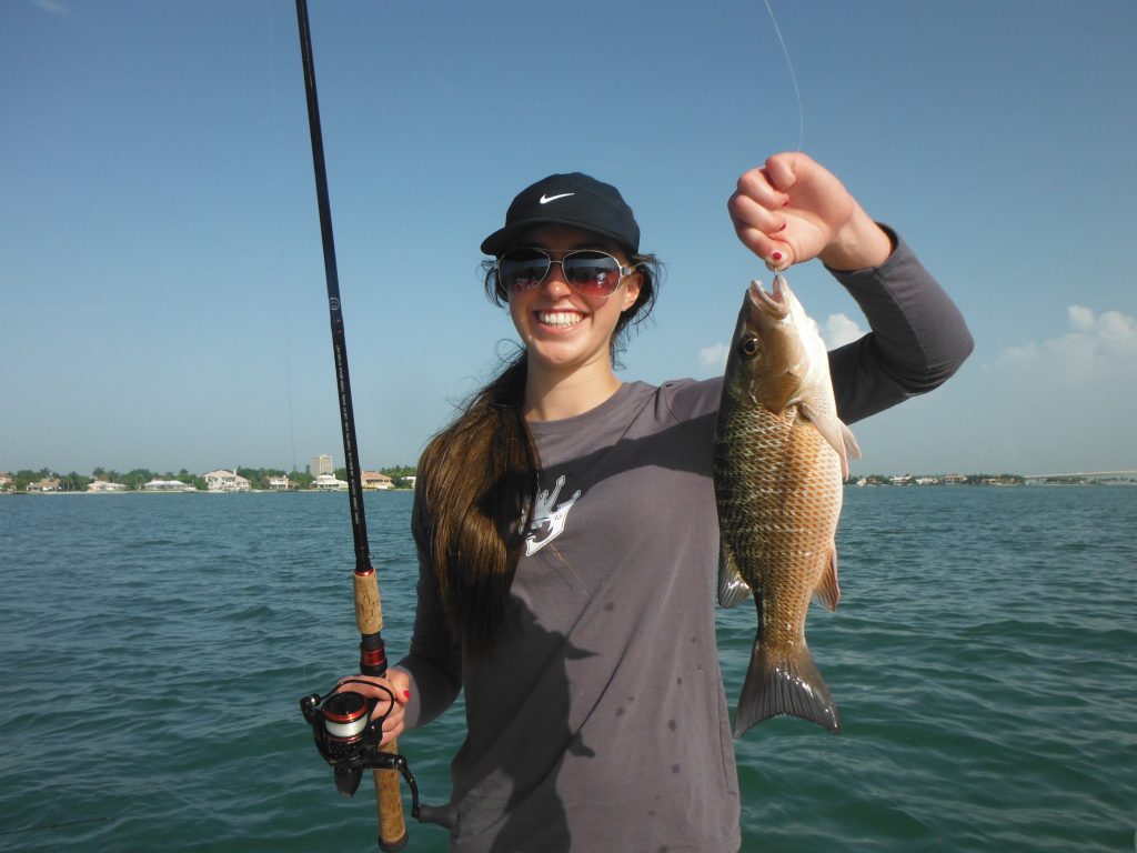 mangrove snapper fishing