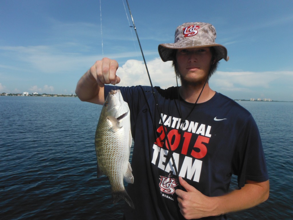 Sarasota fishing charters