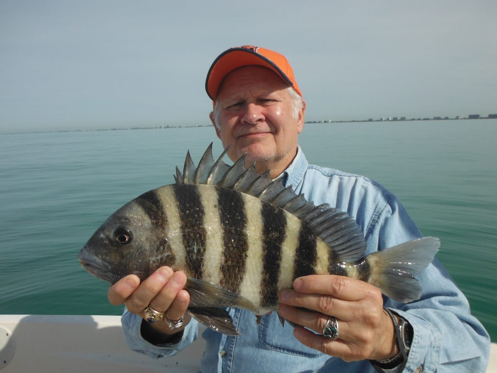 sheepshead fishing tackle and baits