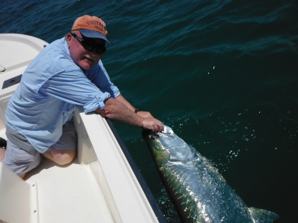 Siesta Key tarpon fishing