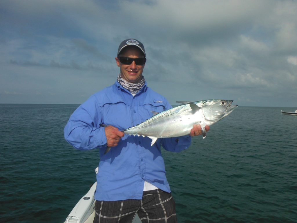 Sarasota bonita fishing