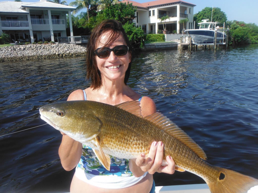 Sarasota redfish fishing