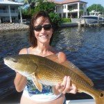 How to Catch Redfish – a Complete Guide!