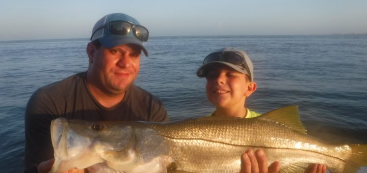 Siesta Key snook fishing