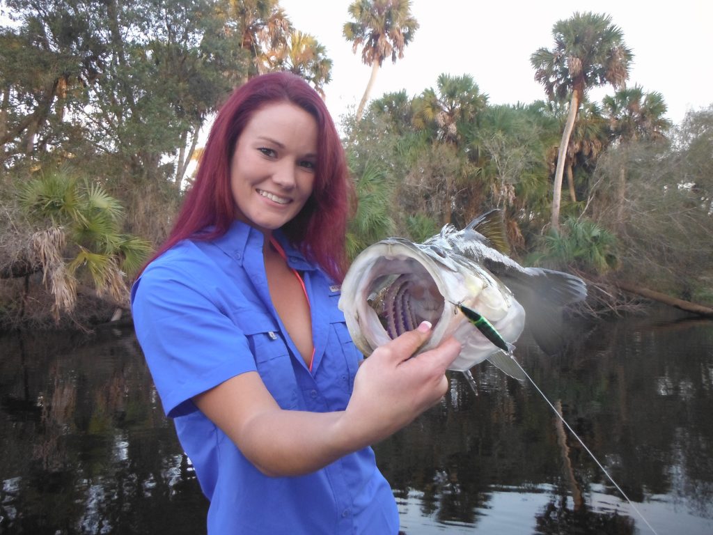 Sarasota river snook fishing