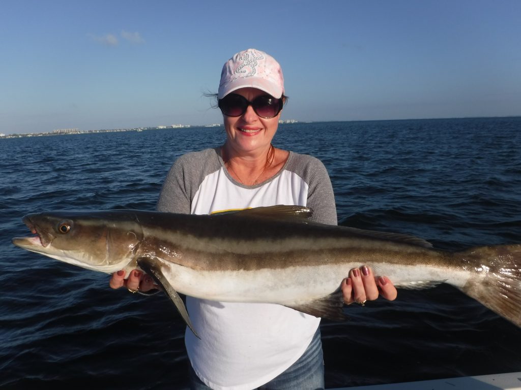 cobia fishing tackle and lures