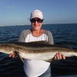 Best Cobia Fishing Tackle and Lures!