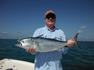 False albacore