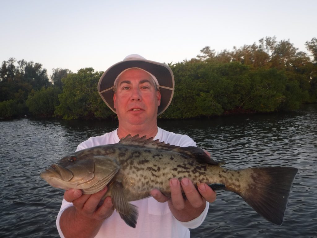 Sarasota fishing charters
