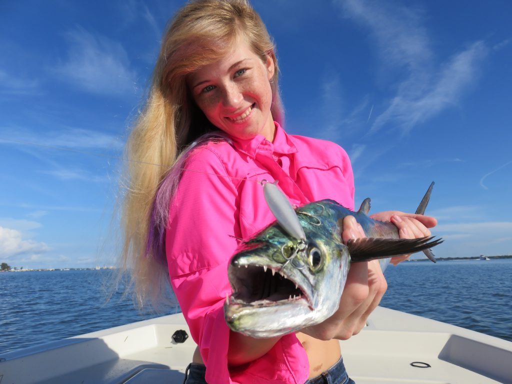 Sarasota Spanish mackerel