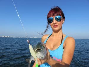 Sarasota fishing charters