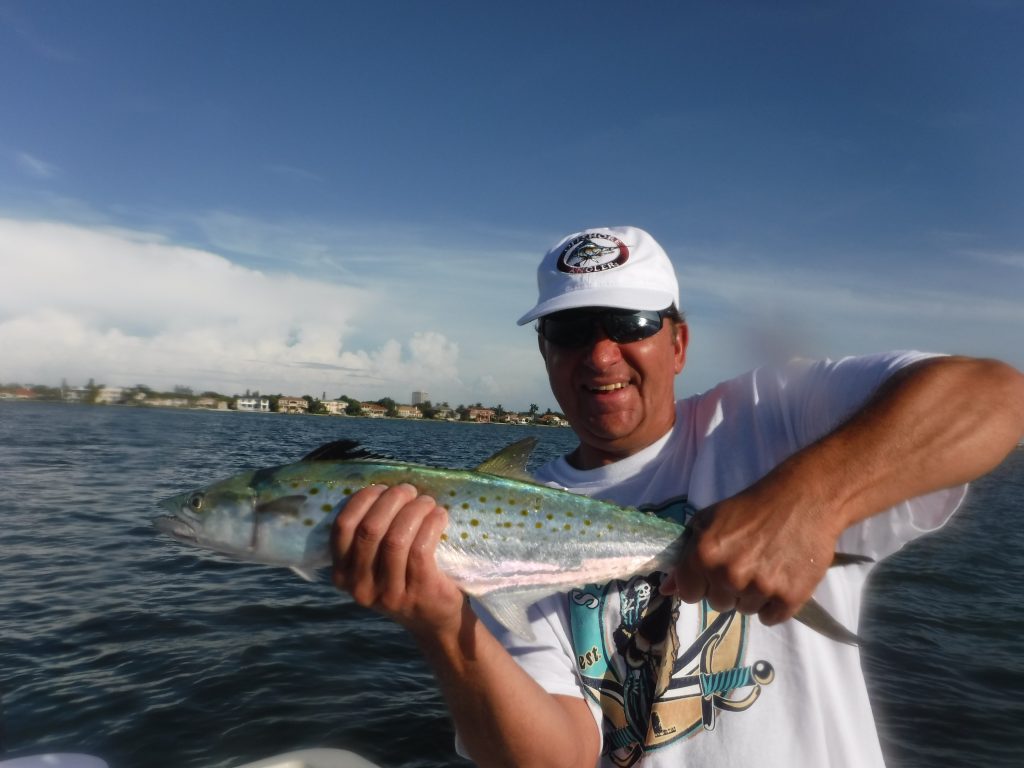 fishing report Siesta Key