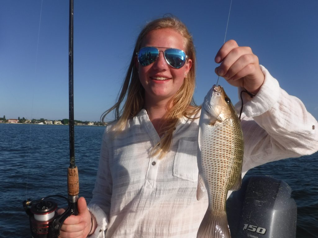 Fishing charters in Sarasota