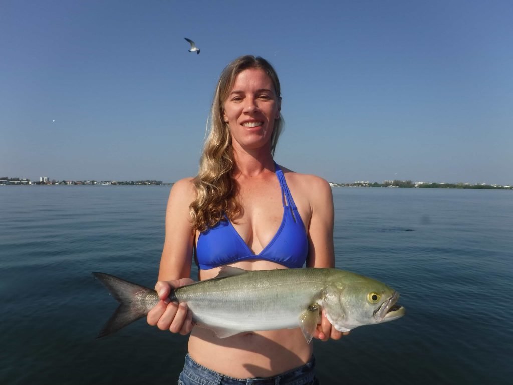 Siesta Key fishing charters