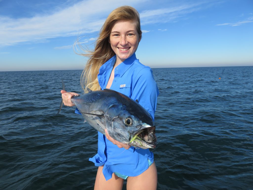 false albacore fishing in Sarasota