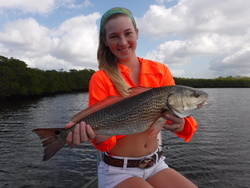 Siesta Key fishing charters