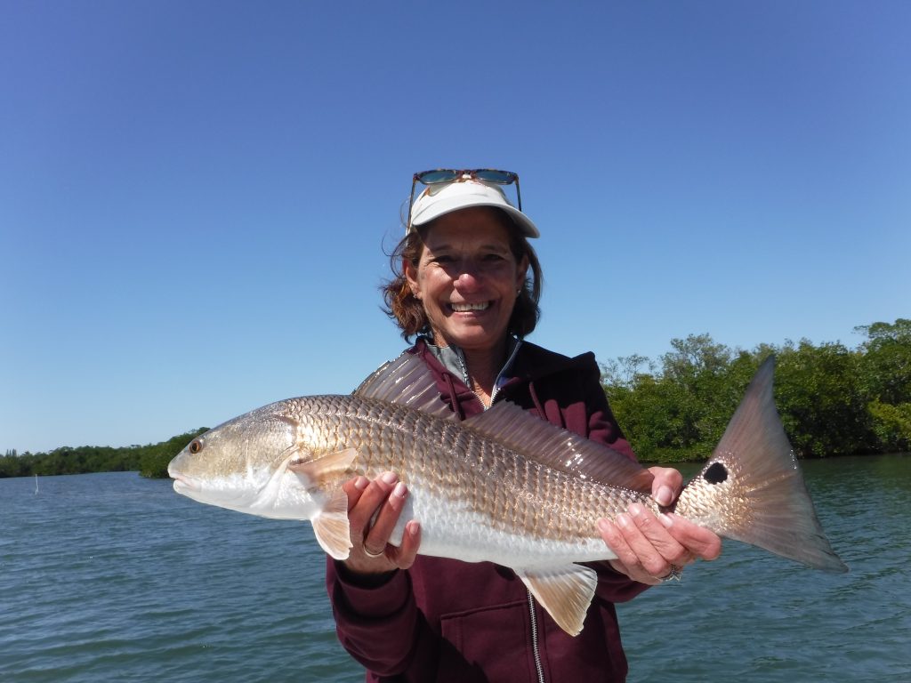 spring Siesta Key fishing report