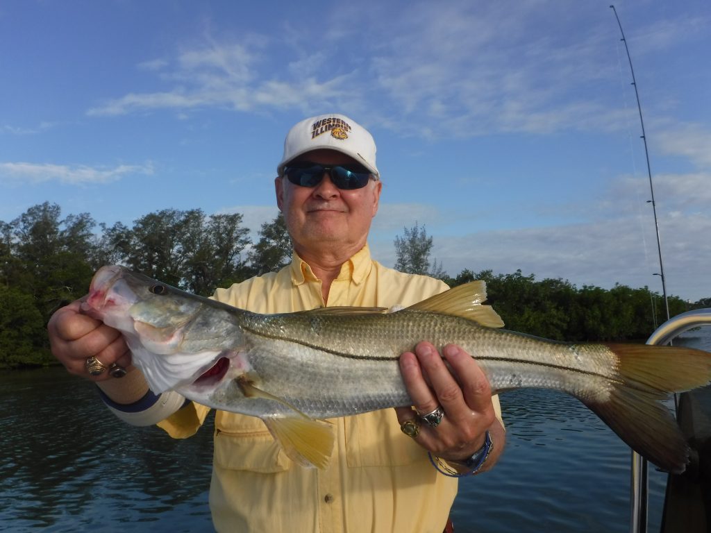Best Snook Lures for Florida Fishing – Siesta Key Fishing Charters