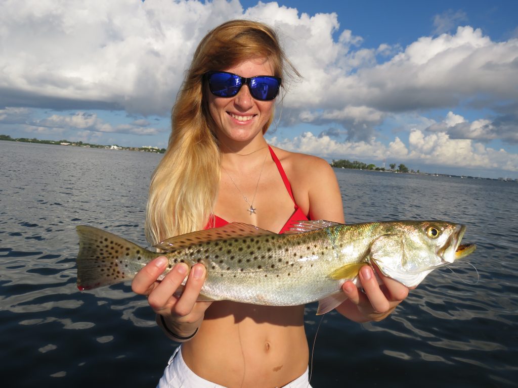 Siesta Key speckled trout