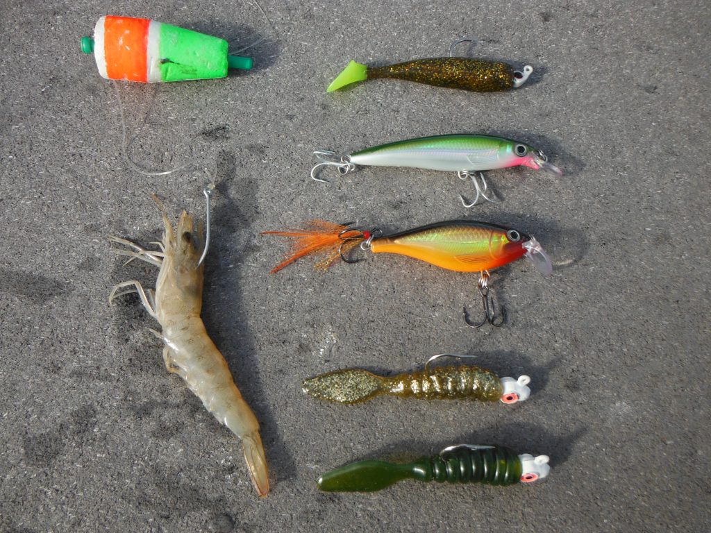 Artificial Lure Fishing in Tampa Bay