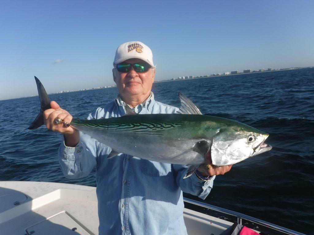 Siesta Key fishing charters