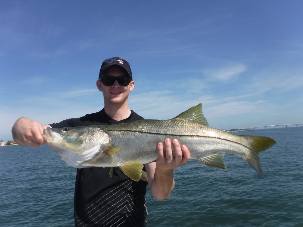 fishing in Sarasota