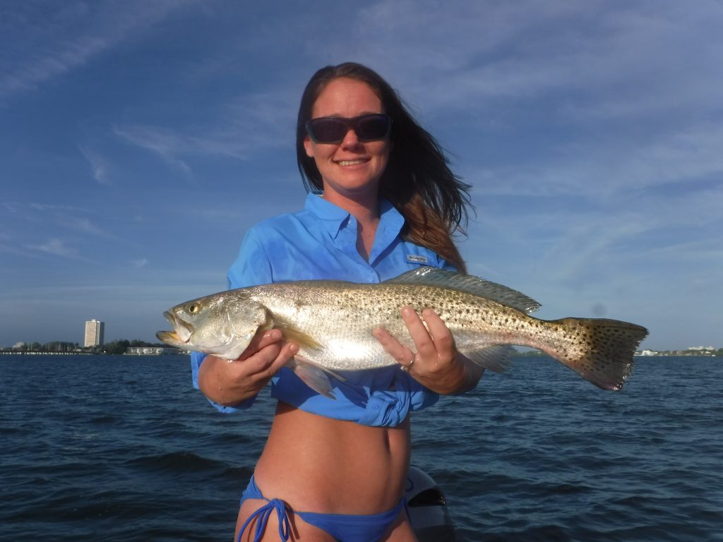 Siesta Key fall fishing