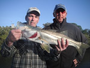 creek fishing Sarasota