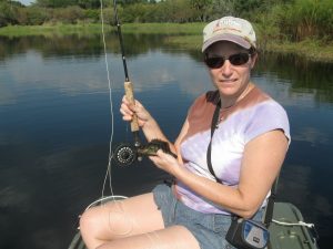 Myakka River bream