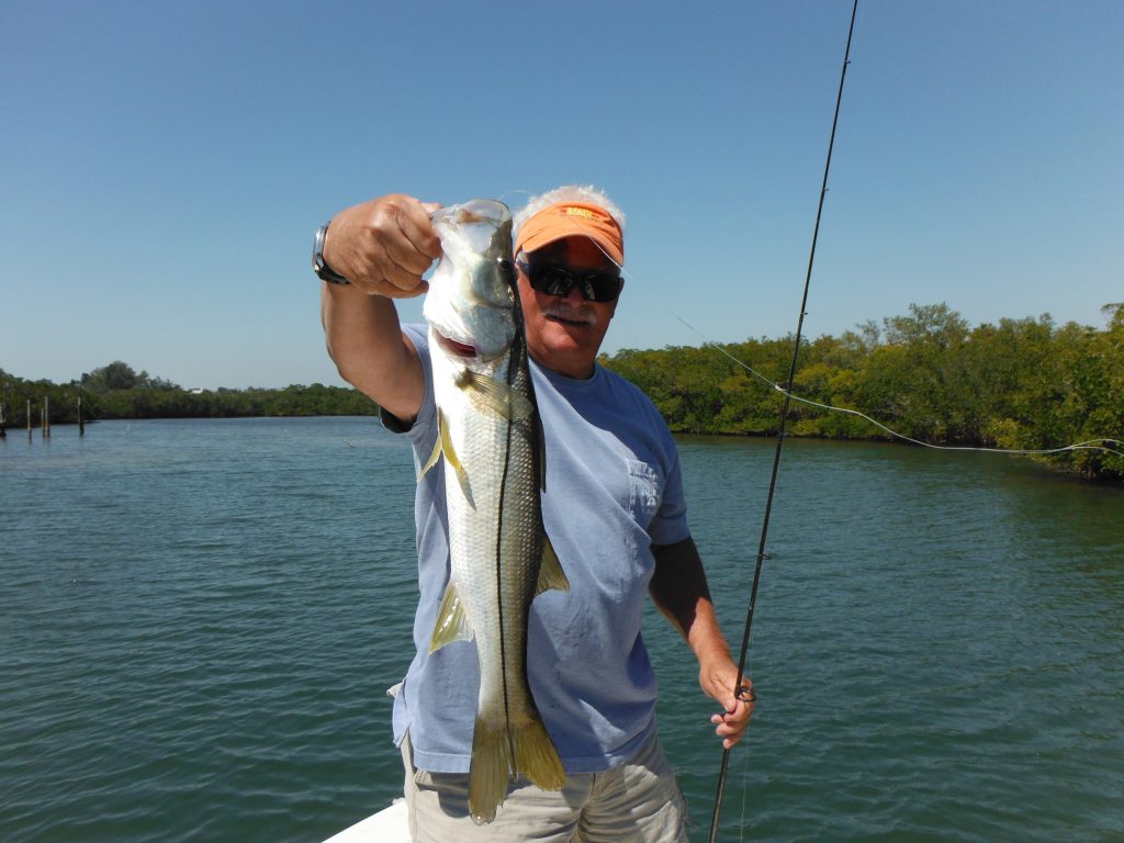 Sarasota snook fishing