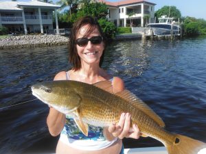 redfish fishing Siesta Key