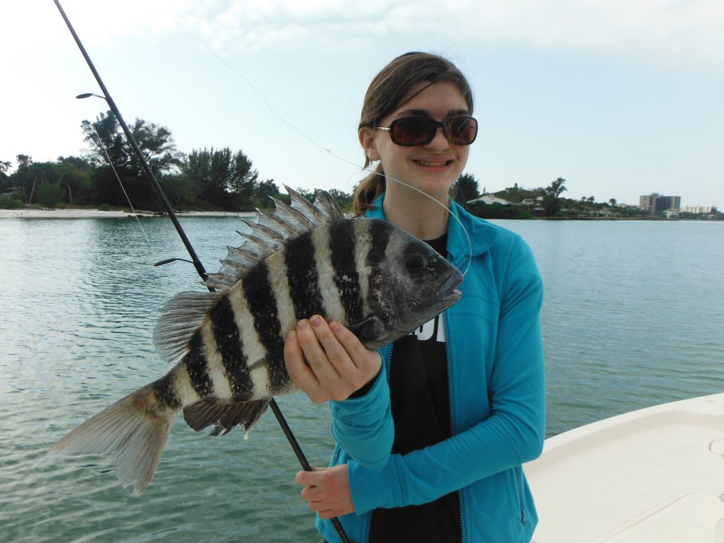 Sheepshead fishing on Siesta Key – Siesta Key Fishing Charters