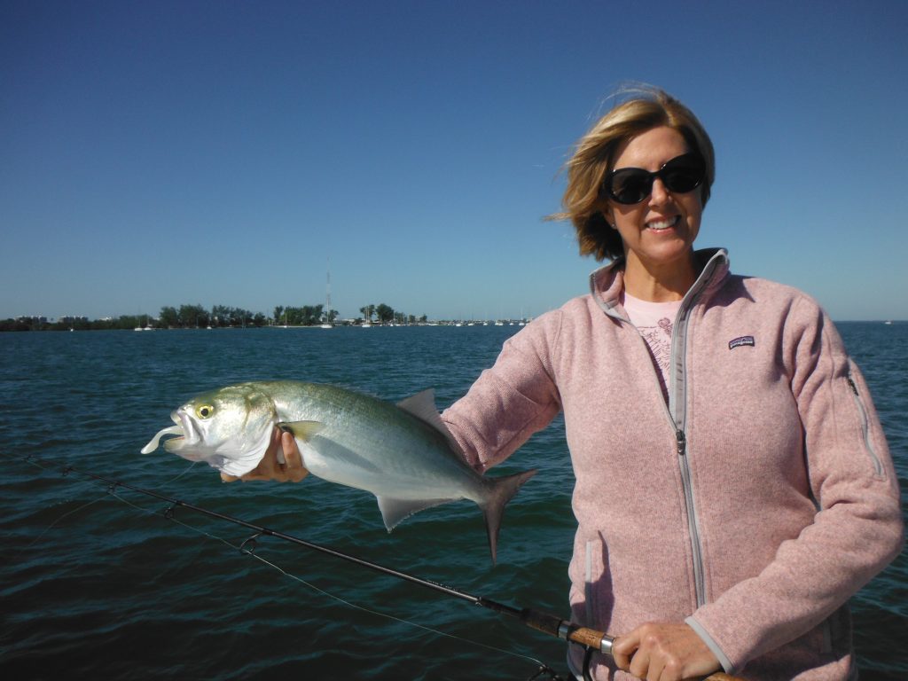 Siesta Key bluefish fishing