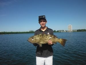 inshore structure fishing Sarasota