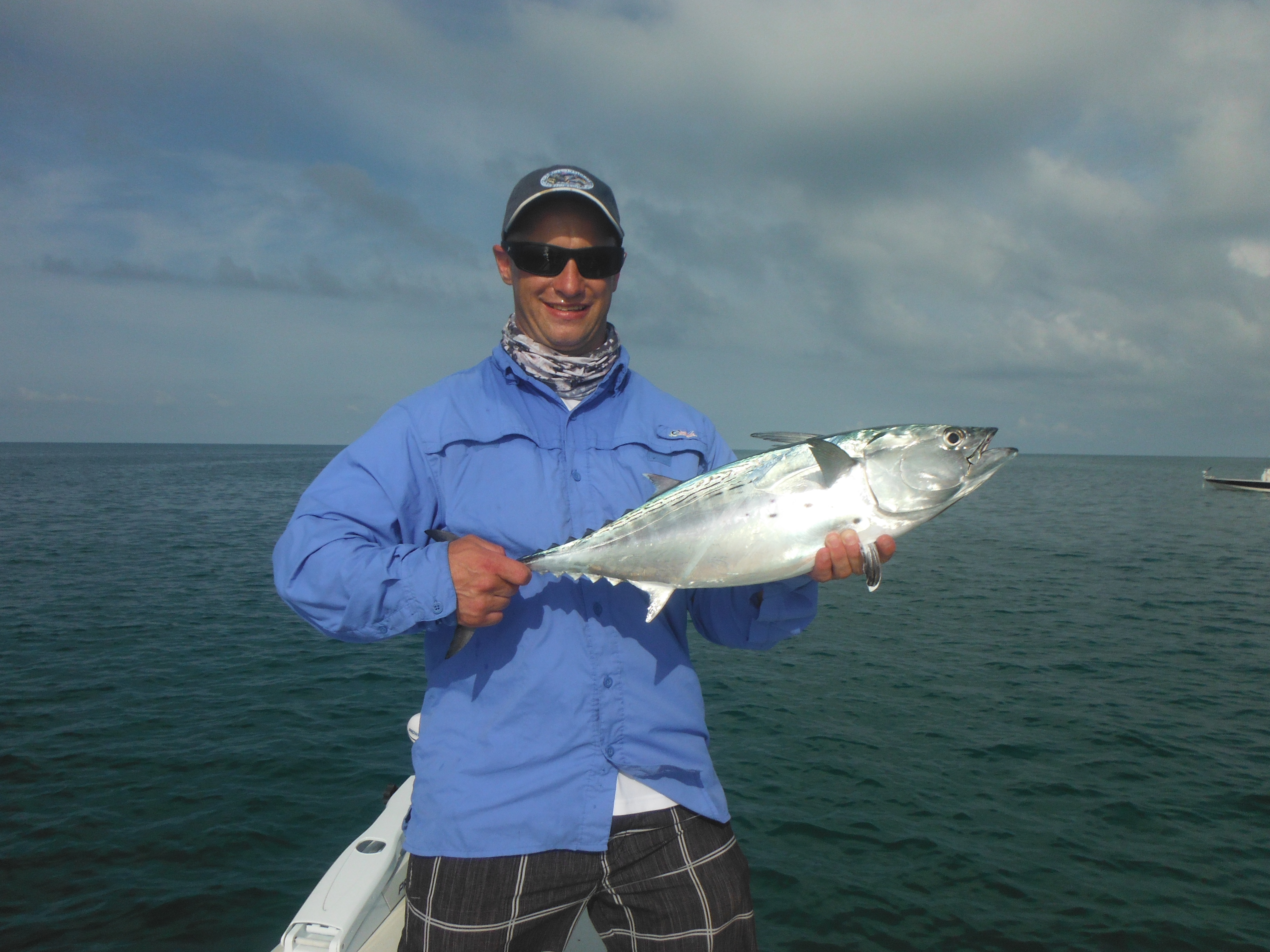 How to Catch Bluefish – a Complete Guide – Siesta Key Fishing Charters