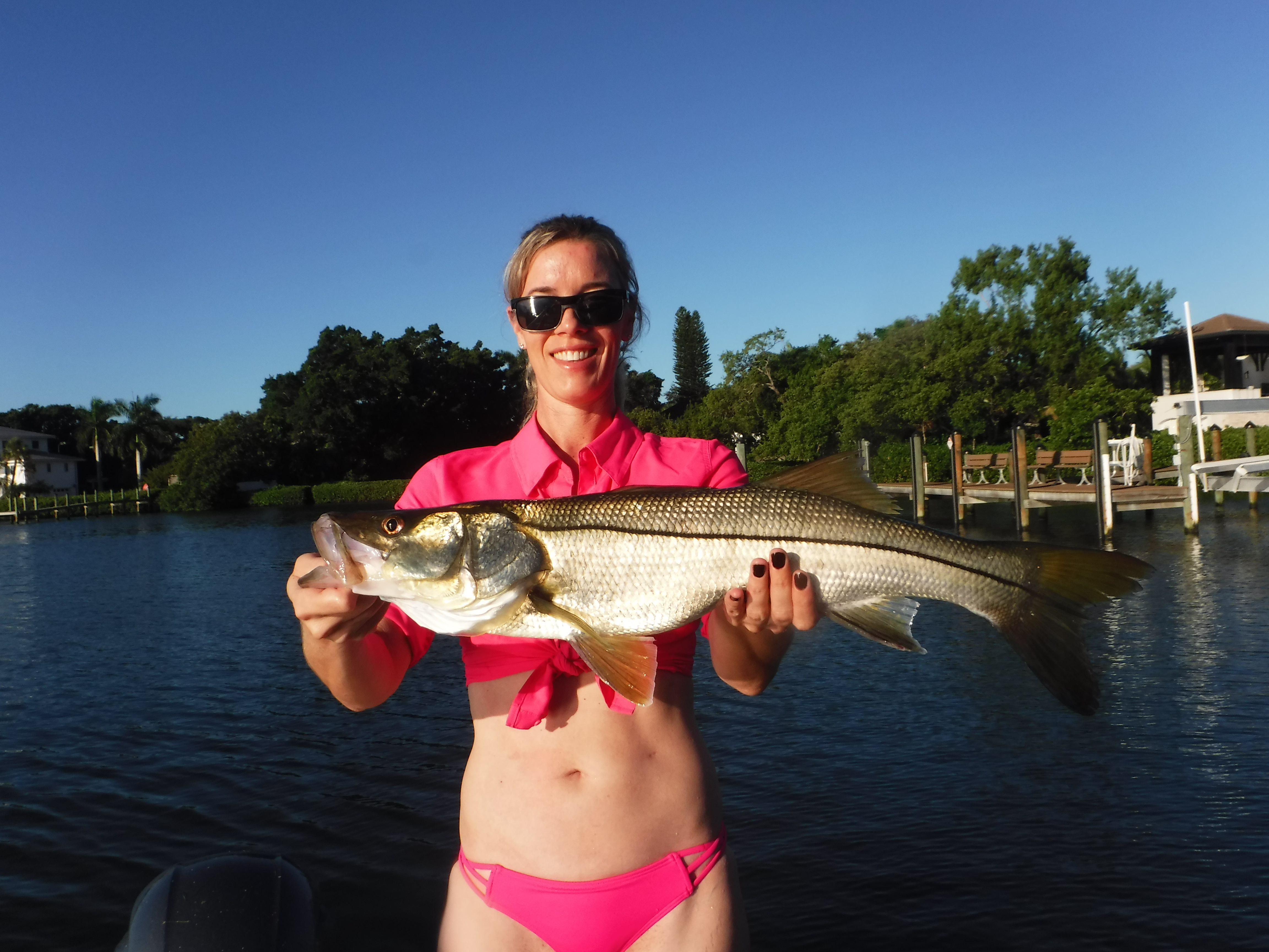 Summer snook fishing in Sarasota! Siesta Key Fishing