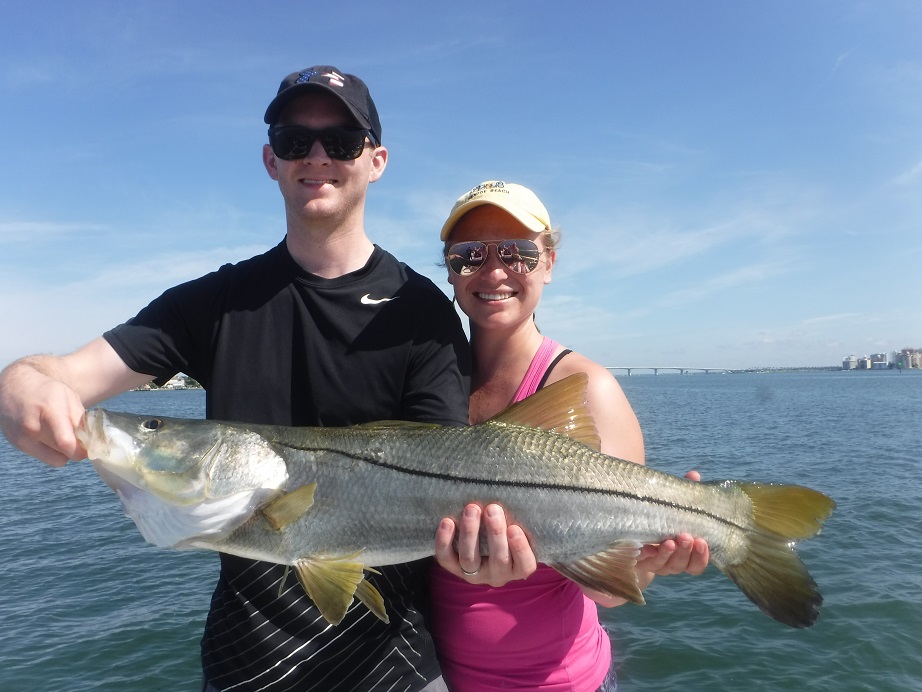 Mangrove snapper fishing on Siesta Key – Siesta Key Fishing Charters