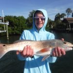 Best 9 Redfish Fishing Baits
