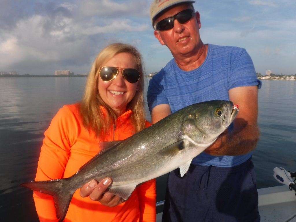 fishing for bluefish on Siesta Key