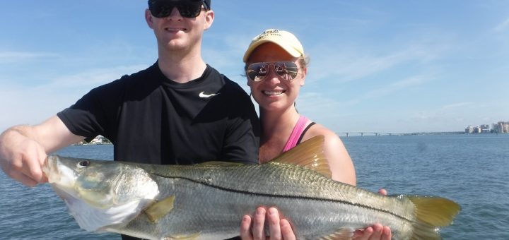 top 19 Siesta Key Game Fish