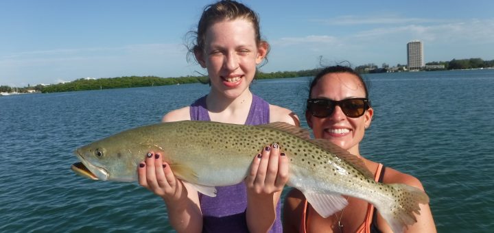 Siesta Key fishing charters
