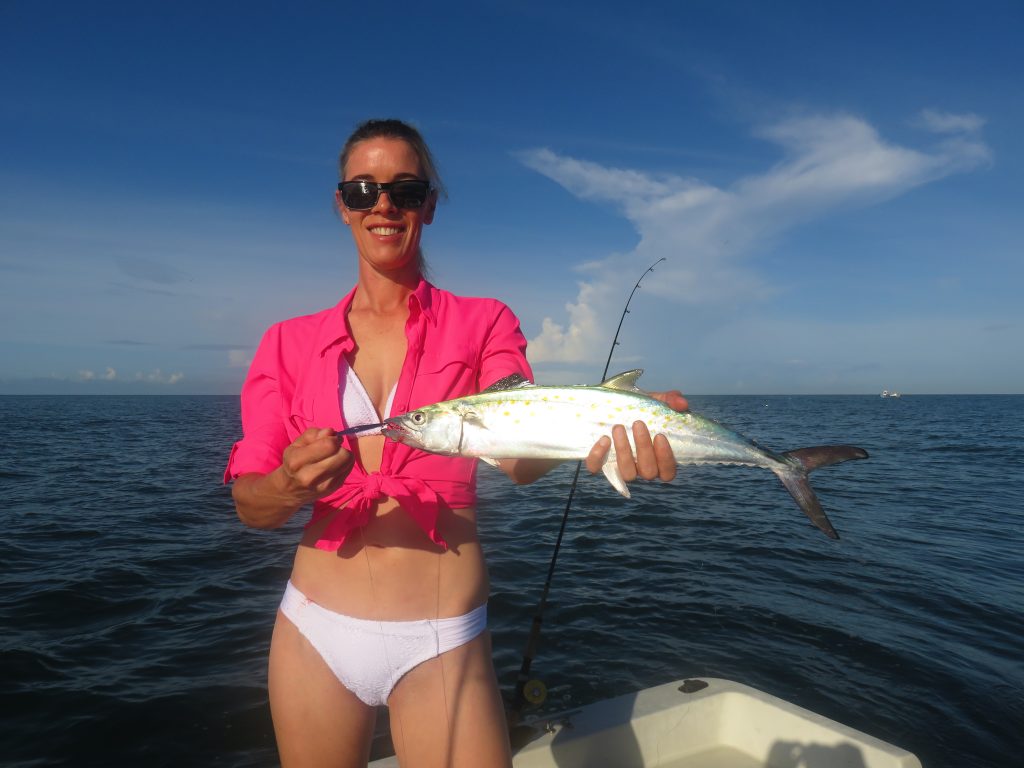 Best Spanish mackerel lures and tips – Siesta Key Fishing Charters